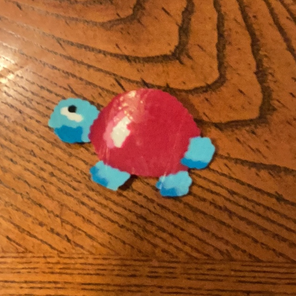 Colorful Turtle wall art!